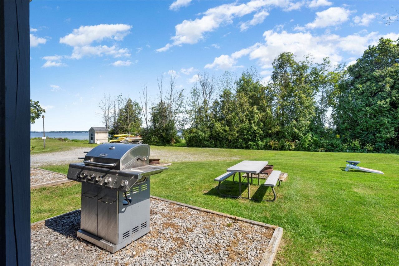 Un cortile con un barbecue, un tavolo da picnic e una panchina.