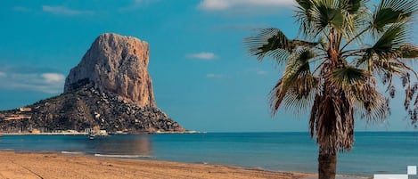 بالقرب من الشاطئ