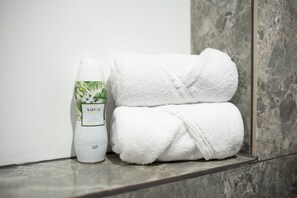 Douche, séchoir à cheveux, serviettes fournies, savon