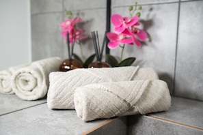 Hair dryer, towels, soap, toilet paper