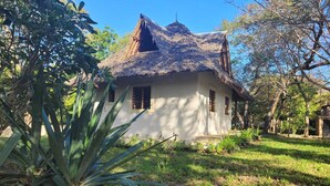 A single-story house with a thatched roof, surrounded by greenery and trees.