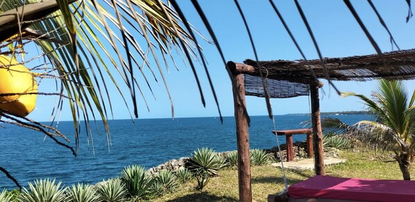 Property grounds - Cove House House 60 m2 Creekside Indian Ocean (Shimoni)