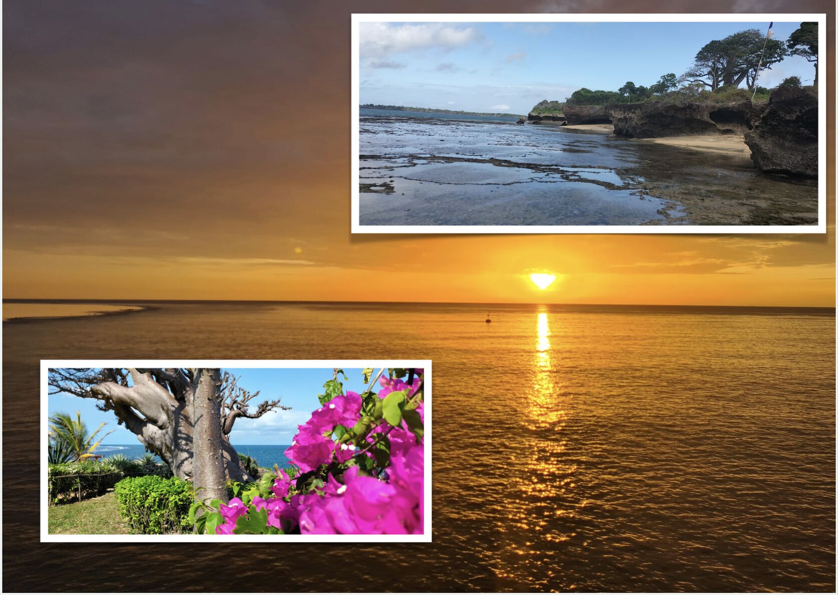 Maison, 1 chambre, fumeur, terrasse | Plage