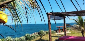 Property grounds - Cove House House 60 m2 Creekside Indian Ocean (Shimoni)