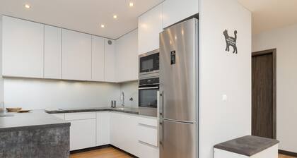 Spacious Apartment Krakow by Renters