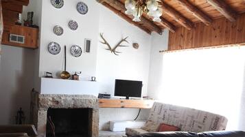 TV, books