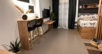 bohemian Studio51 in historic political year