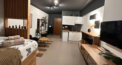 bohemian Studio51 in historic political year