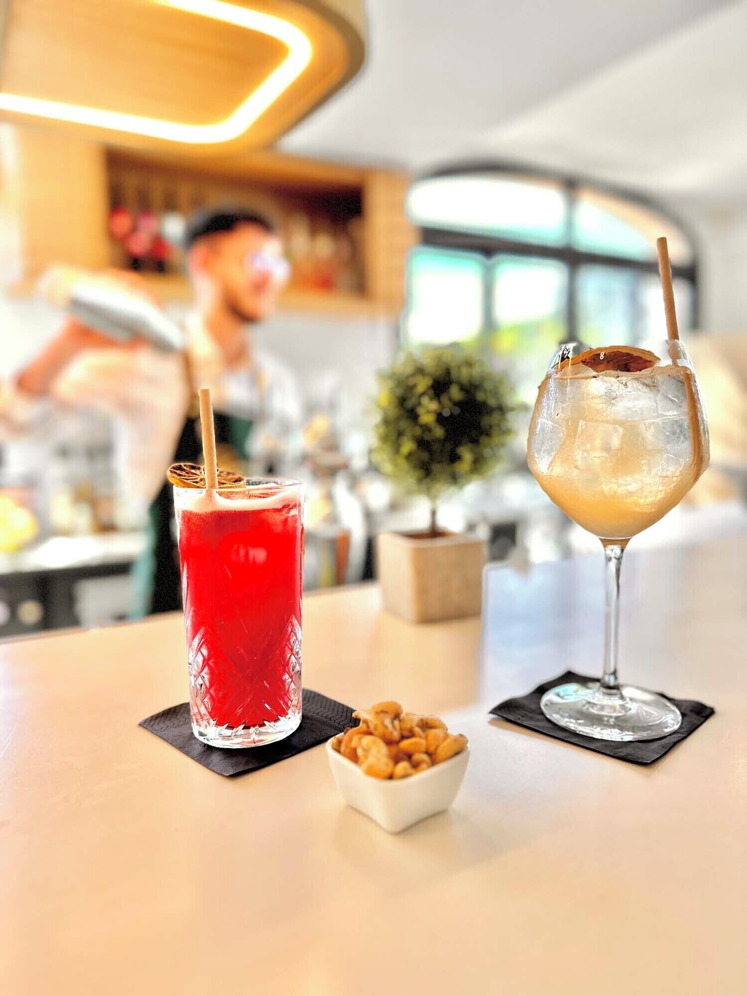 Two drinks on a table with a small bowl of nuts and a potted plant in the background.