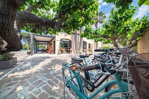 A stone-paved courtyard with bicycles parked under a large tree.