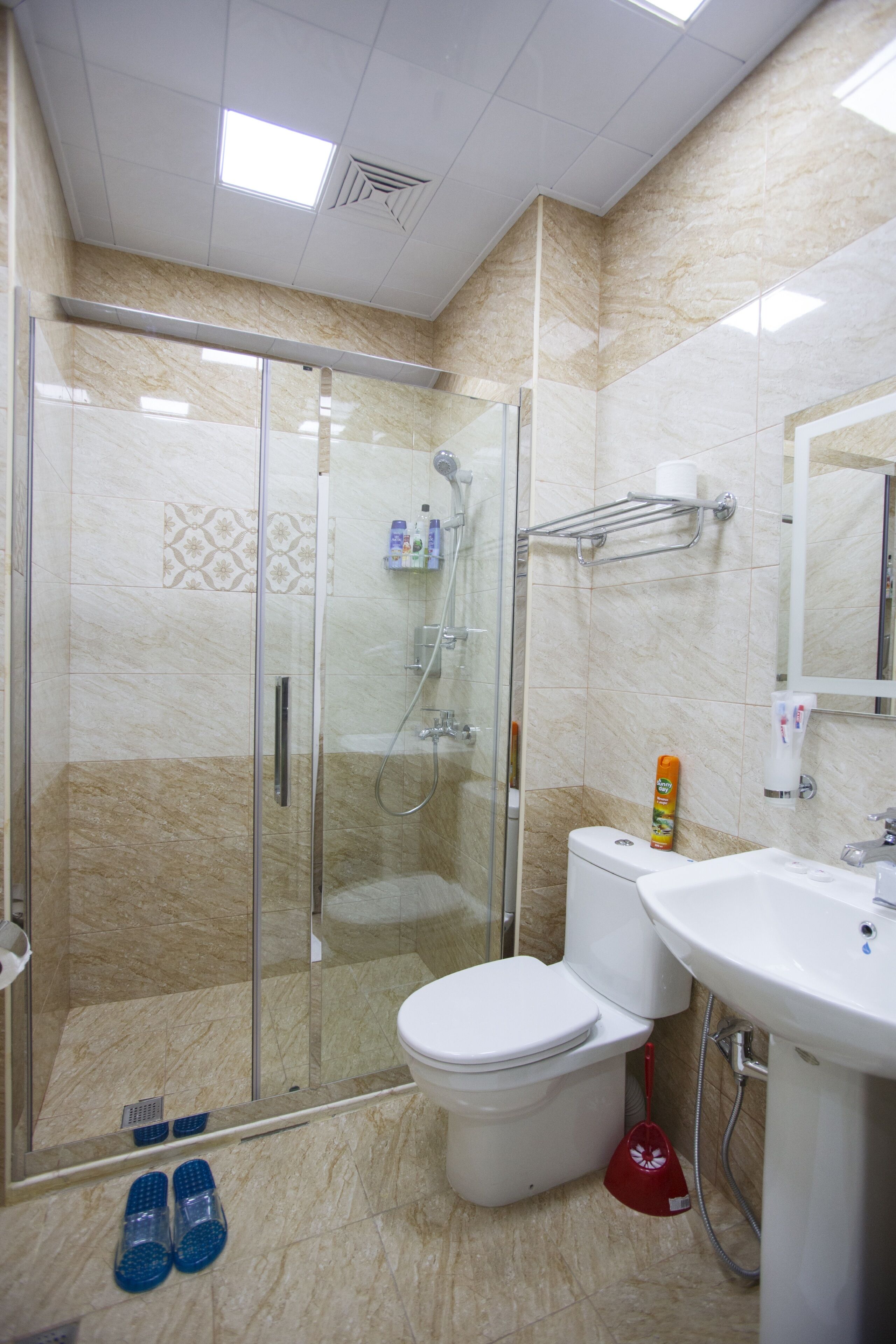 Un bagno con doccia vetro-murata, un water e un lavandino.