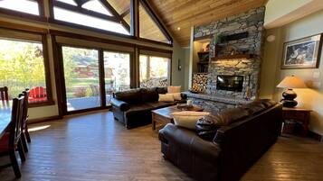 TV connectée, cheminée, lecteur de DVD, livres