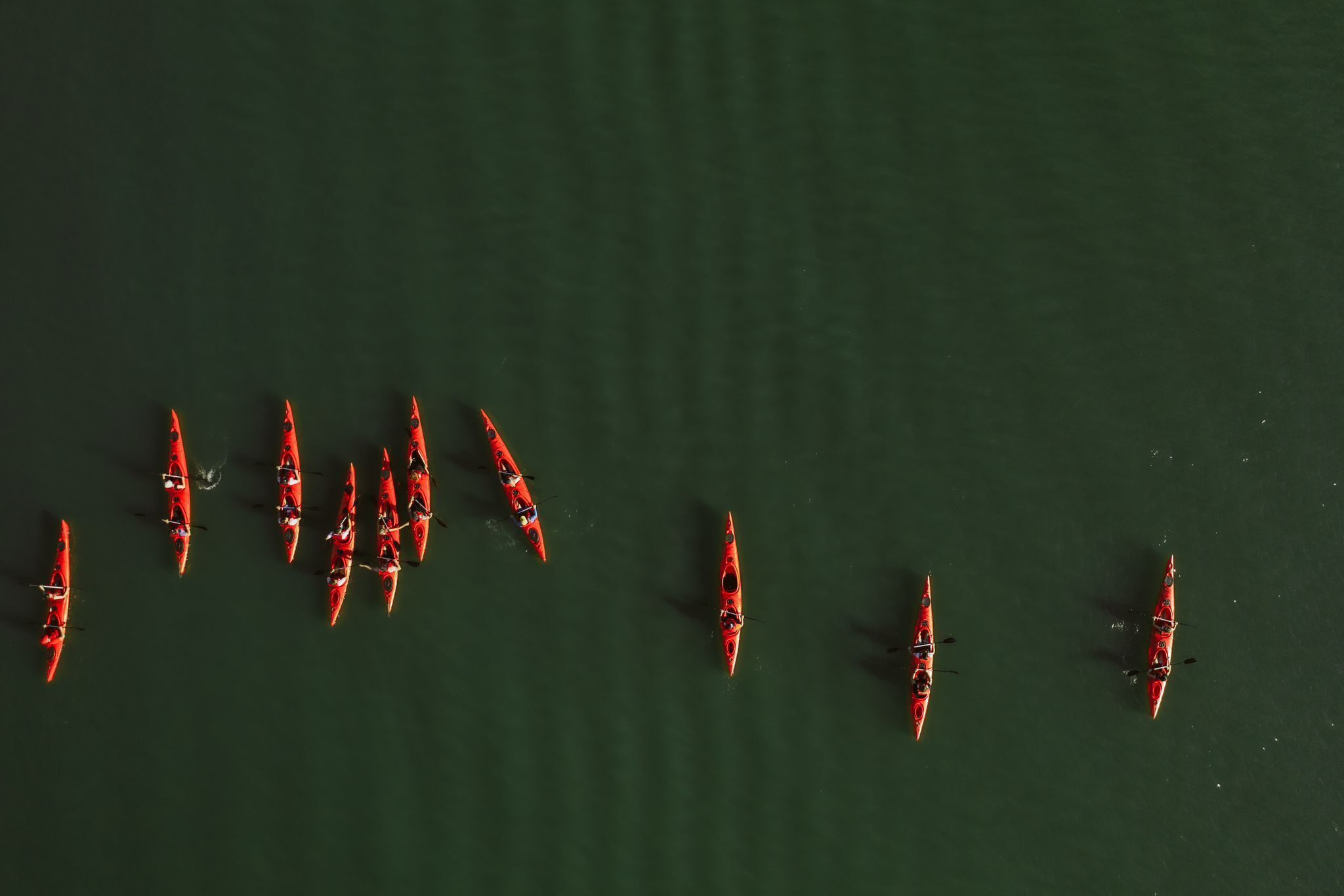 A group of kayaks on a body of water.