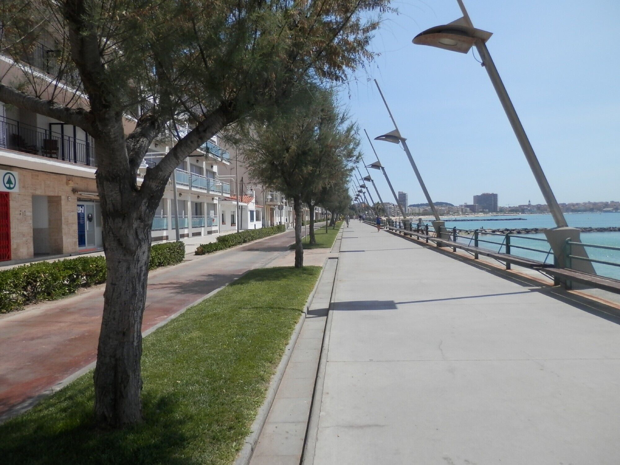 Un paseo marítimo con acera, árboles y vistas al mar.