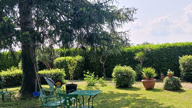 Een tuin met een tafel, stoelen, een boom en verschillende planten in potten.