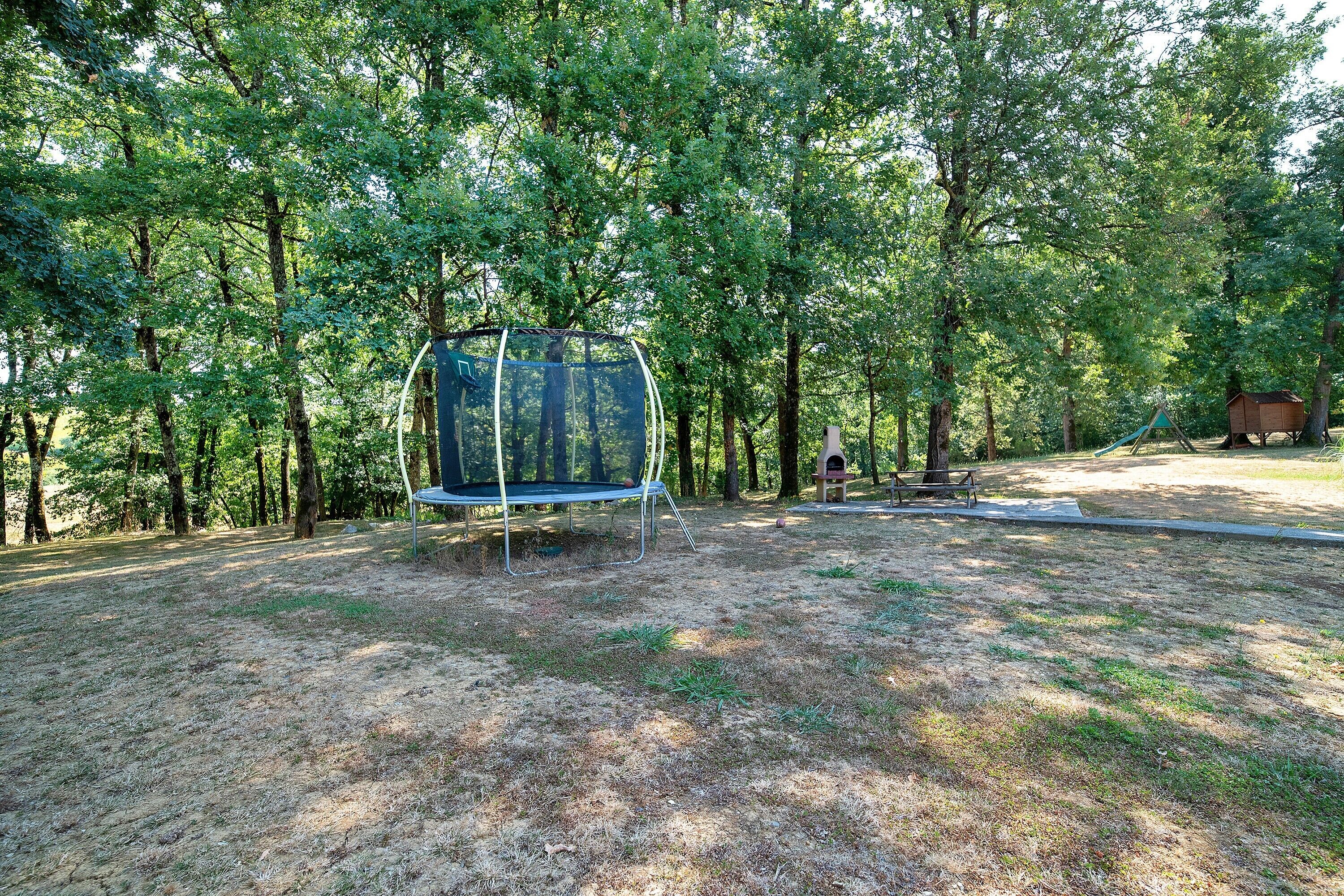 Ein Trampolin in bewaldeter Landschaft mit einer Bank und einem Vogelhaus.