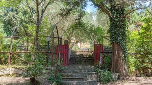 A stone staircase leading up to a gate, surrounded by greenery and trees. - Villa 'Il Frassine' with Private Pool, Wi-Fi and Air Conditioning (Rignano sull'Arno)