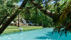 A swimming pool with a slide, surrounded by trees and a well-maintained lawn. - Villa 'Il Frassine' with Private Pool, Wi-Fi and Air Conditioning (Rignano sull'Arno)