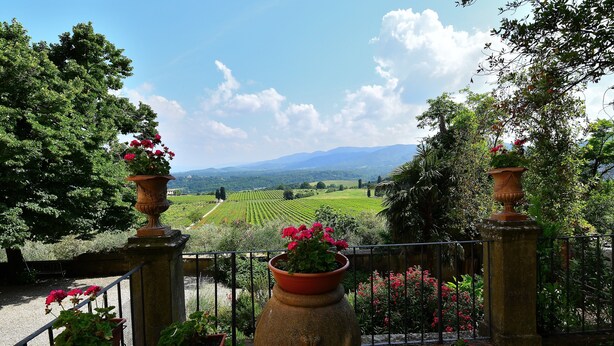 A garden with potted plants and a view of a green landscape. - Villa 'Il Frassine' with Private Pool, Wi-Fi and Air Conditioning (Rignano sull'Arno)