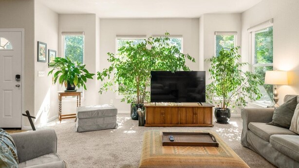 A living room with a flat-screen TV on a wooden stand, two potted plants, a grey sofa, a small ottoman, and a coffee table. - A fresh new offering - Welcome to your Chico Getaway! (Chico)