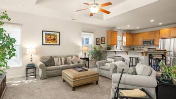 TV, offices, computer monitors