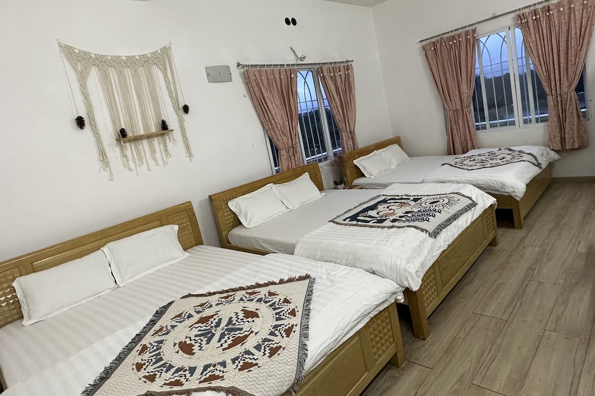 Classic Shared Dormitory