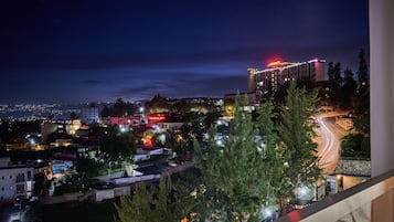 Vue depuis le balcon