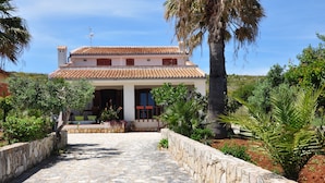 Une maison à deux étages, avec un toit recouvert de tuiles, un chemin de pierre menant à l’entrée et un jardin agrémenté de diverses plantes et d’un palmier.