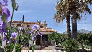 Une villa de style méditerranéen, avec un chemin de pierre menant à l’entrée, entourée d’une végétation luxuriante et d’un palmier.