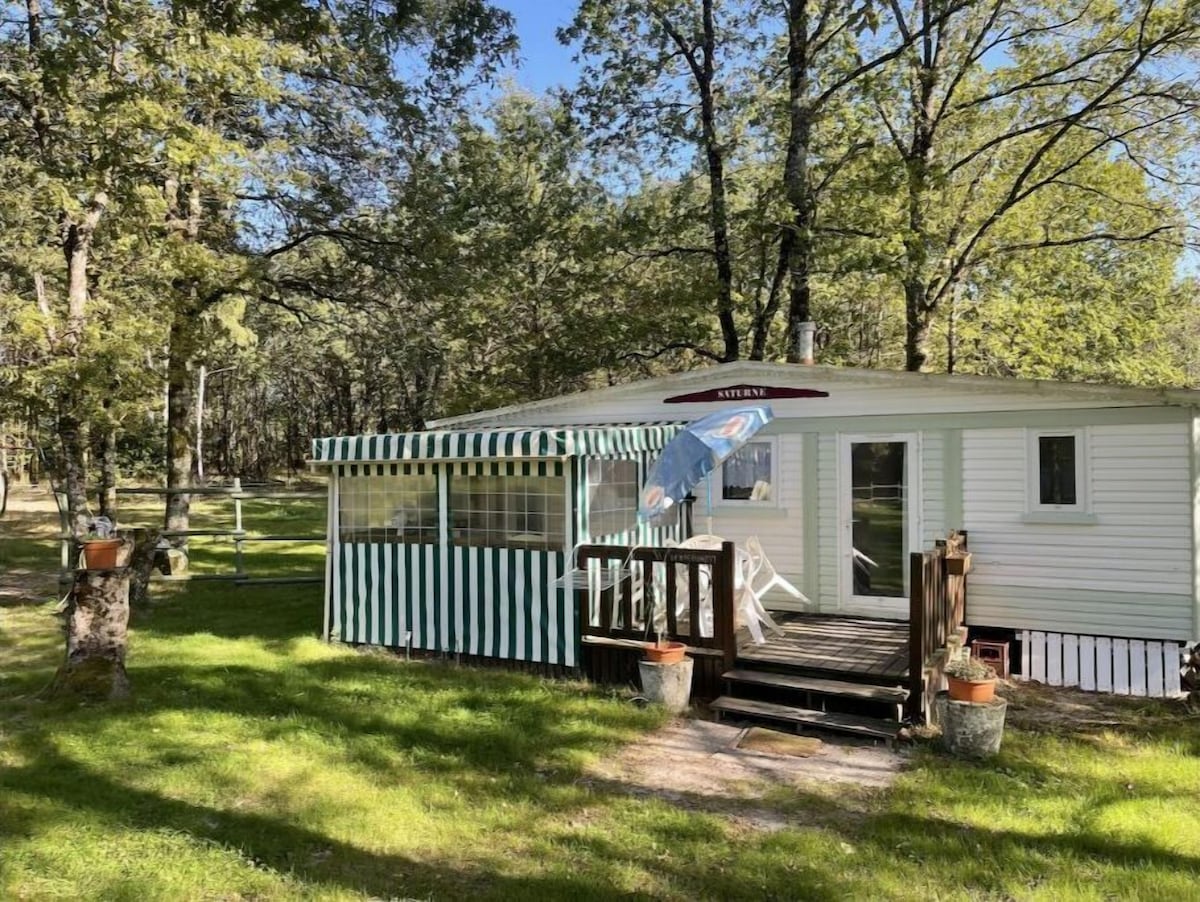 Image de profil de lâhĂŽte