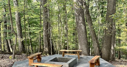 Star Gazer Luxury A-Frame Wood Cabin. Near York/Harrisburg/Hershey/Lancaster