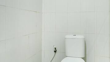 Shower, towels, toilet paper