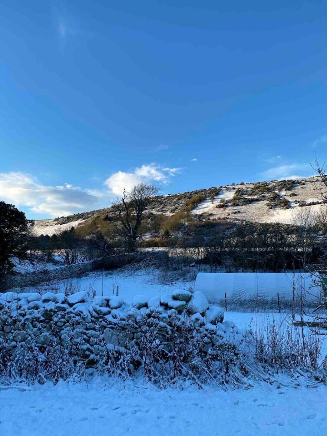 A snowy landscape with a clear sky, a frozen lake, and a stone wall in the foreground.