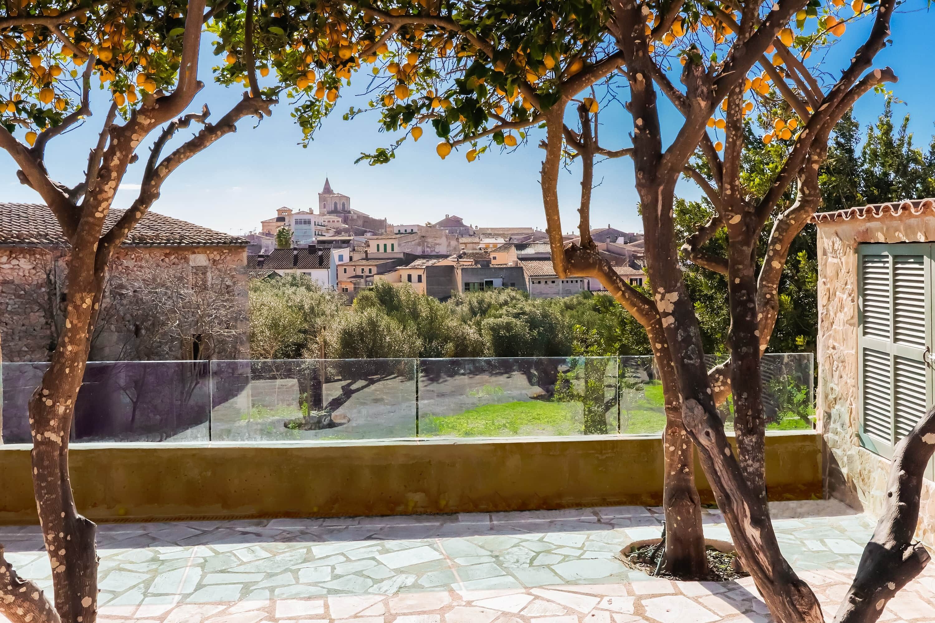 Terrein van de accommodatie