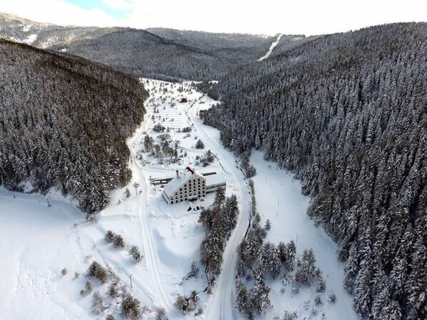 Un paisaje nevado con un edificio rodeado de bosque denso.