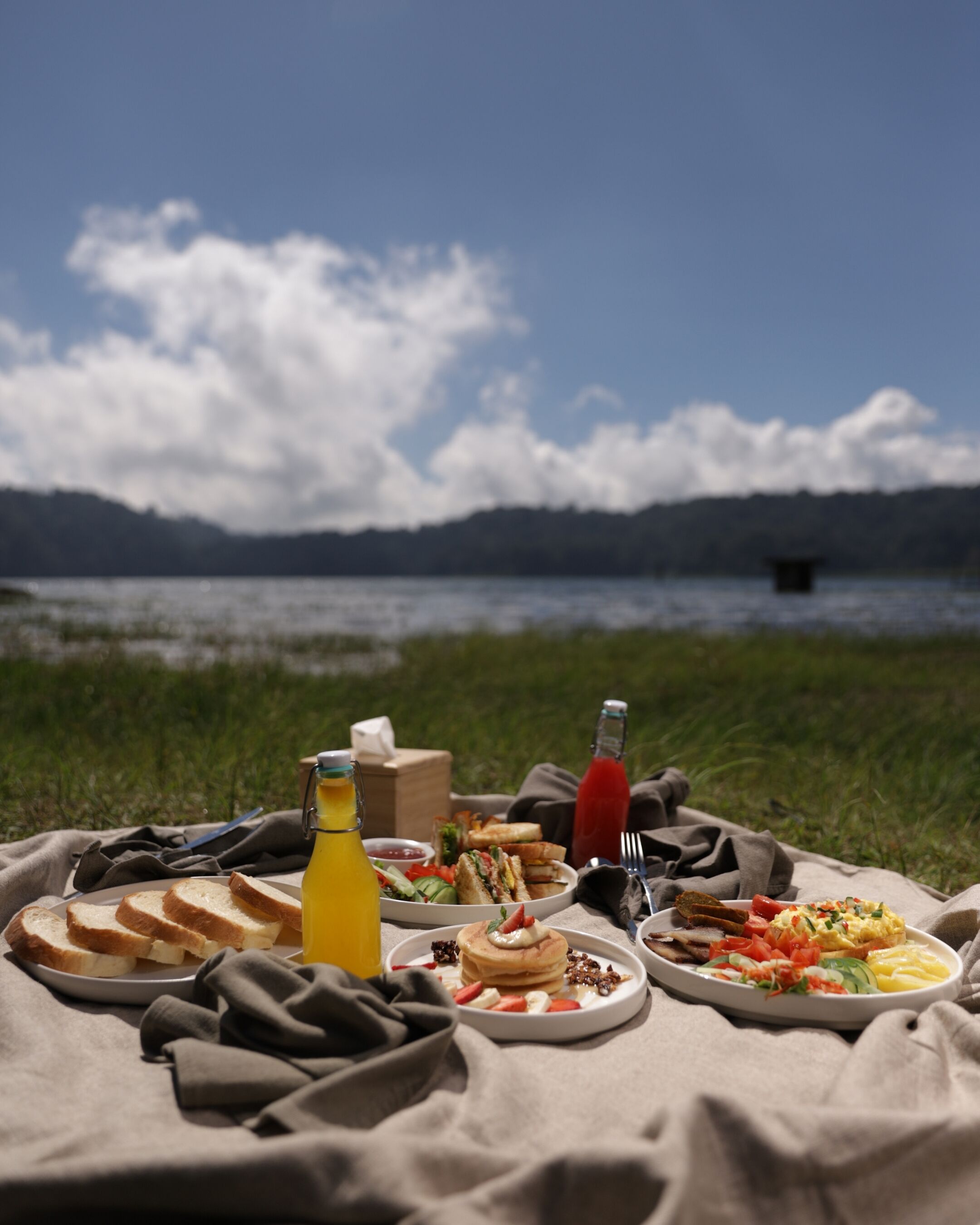 A picnic setup with food and drinks on a blanket by a lake with mountains in the background.