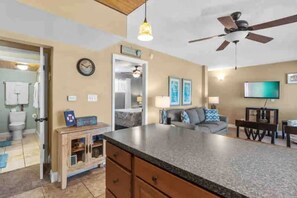 電視、DVD 播放機、影像庫