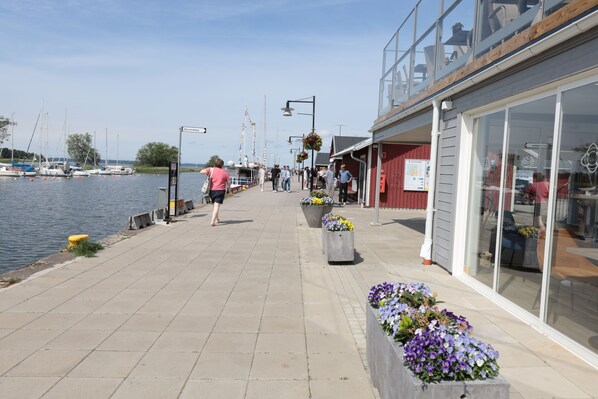 Un paseo marítimo con una fila de macetas con flores, un muelle con barcos y un edificio con grandes ventanales.