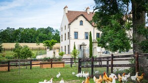 Una casa grande con patio cercado, rodeada de follaje y árboles.