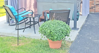 Welcome to Harvest Haven's Sunflower Serenity