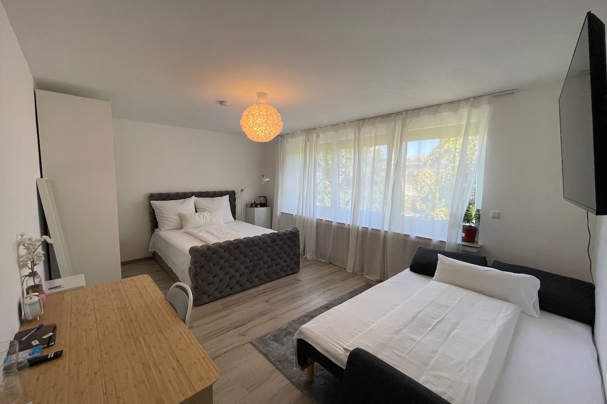 A modern bedroom with a bed, a sofa, a desk, and a TV.