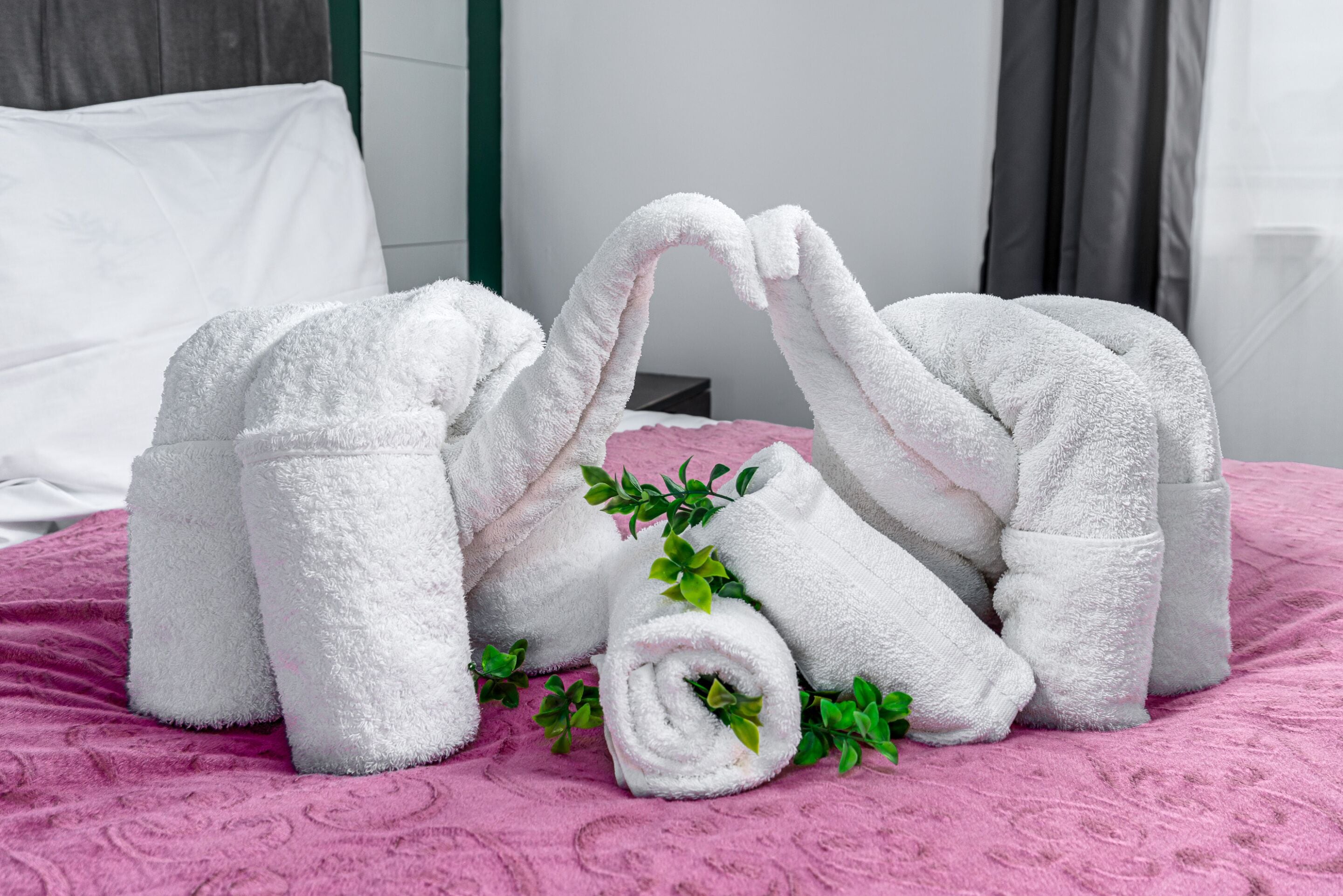 Foto - City Gate Guest House