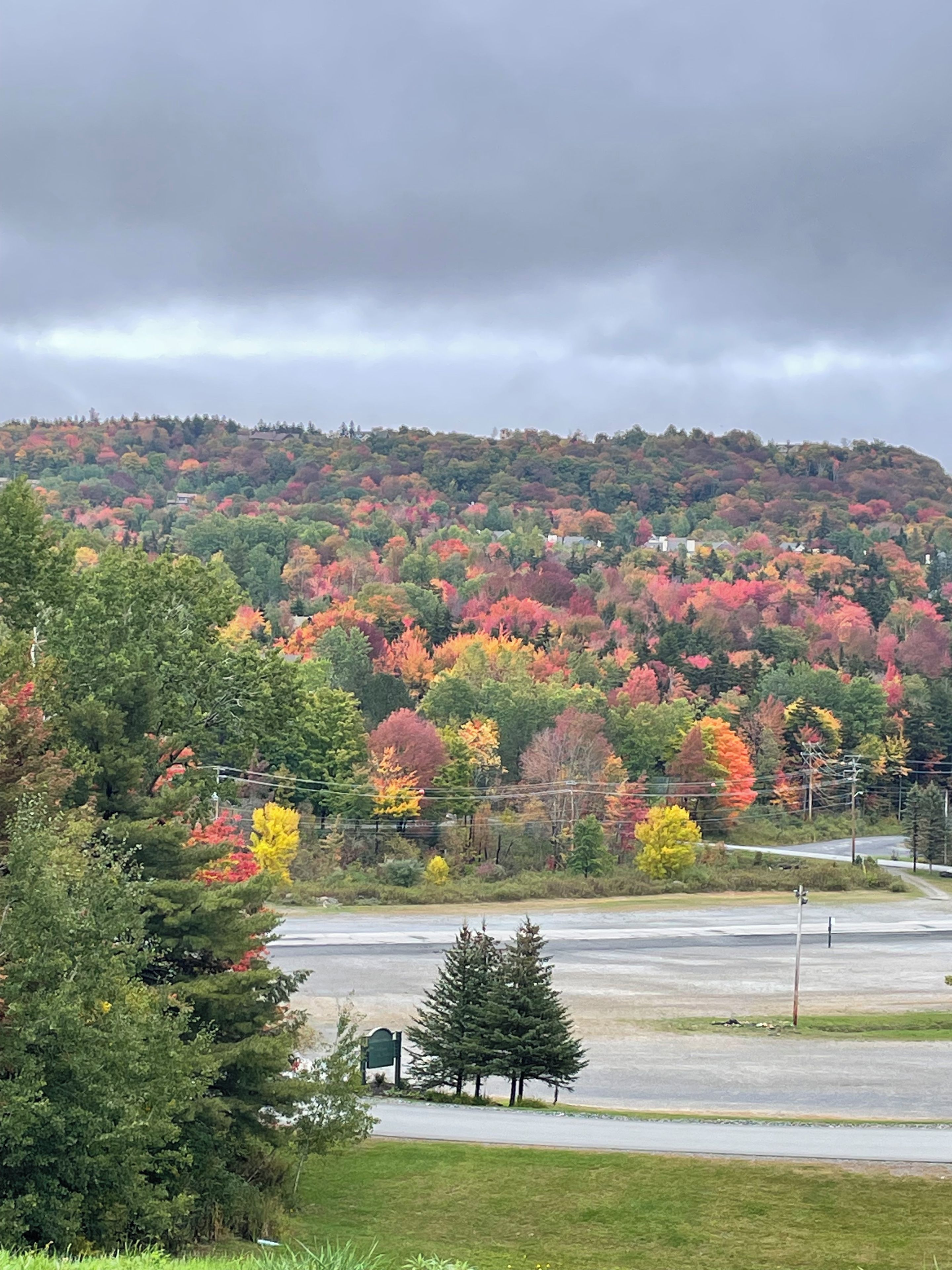 Un parking avec une zone herbeuse et une colline dont le feuillage d’automne se détache à l’arrière-plan.