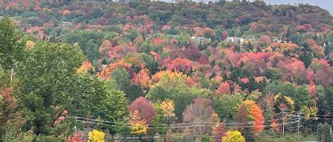 A parking lot with a grassy area and a hill with autumn foliage in the background.