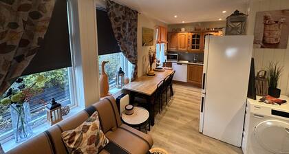 Historical house ground floor. Downtown. One bedroom. 6 pers