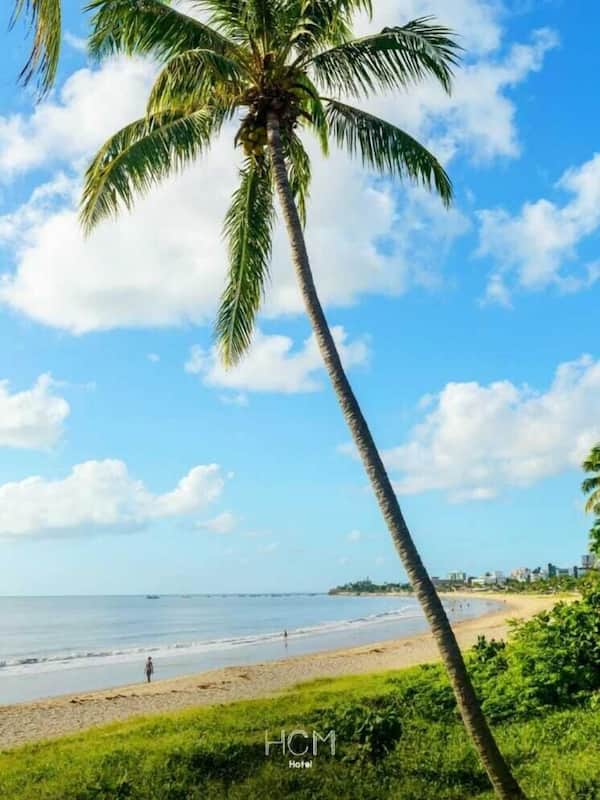 Relax by the tranquil ocean at HCM Hotel, surrounded by lush palm trees and a serene beach.
