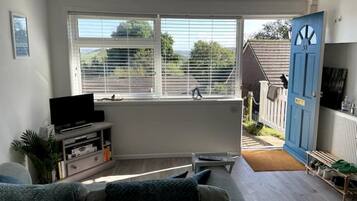 Smart TV, DVD player, books, stereo