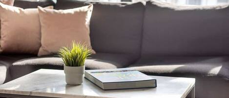 A modern living room with a grey sofa, a small potted plant, and a book on a marble coffee table.