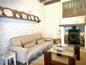 Smart TV, fireplace, DVD player, books
