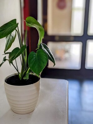 Interior - Meadowside (Nolton, Haverfordwest,)